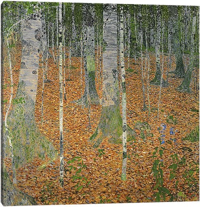 The Birch Wood, 1903 Canvas Art Print - Birch Tree Art