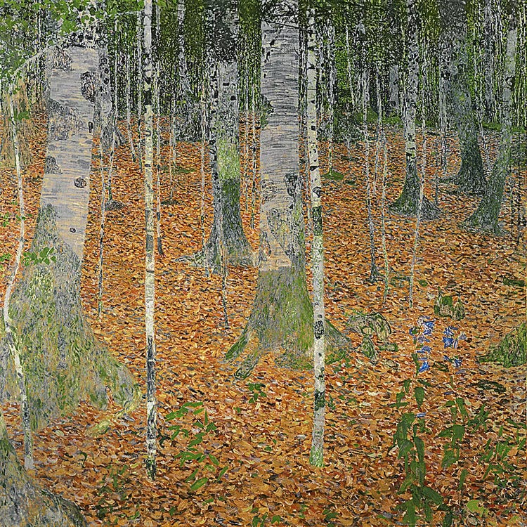The Birch Wood, 1903 by Gustav Klimt wall art