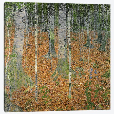The Birch Wood, 1903 Canvas Print #BMN1088} by Gustav Klimt Canvas Wall Art