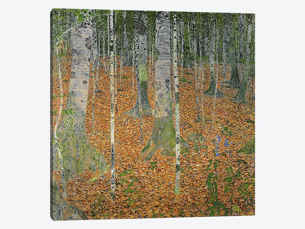 The Birch Wood, 1903 by Gustav Klimt 1-piece Art Print