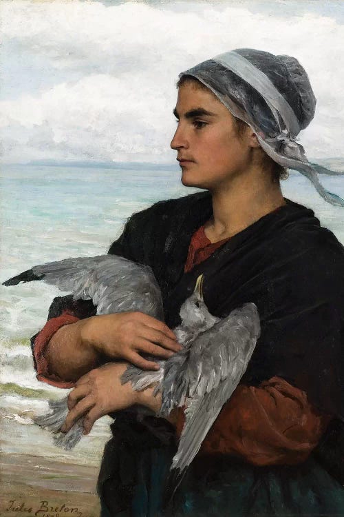 The Wounded Sea Gull, 1878 