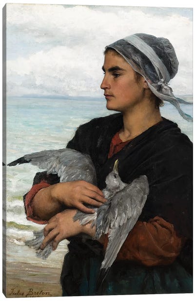 The Wounded Sea Gull, 1878  Canvas Art Print