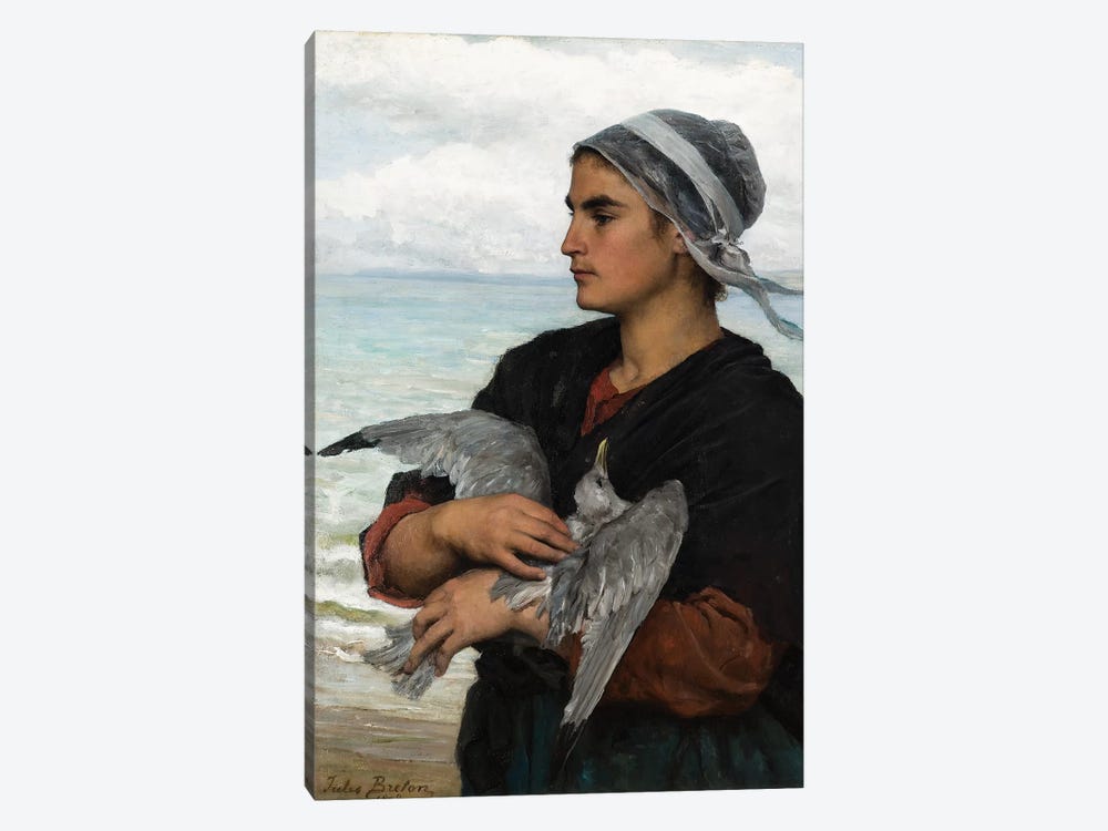 The Wounded Sea Gull, 1878  by Jules Breton 1-piece Canvas Artwork