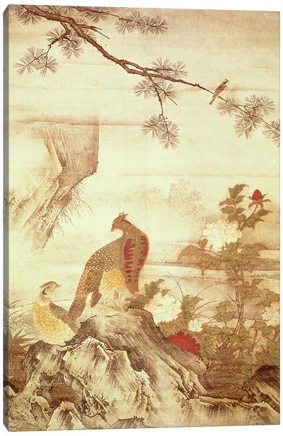 Pheasants and peonies Canvas Art Print