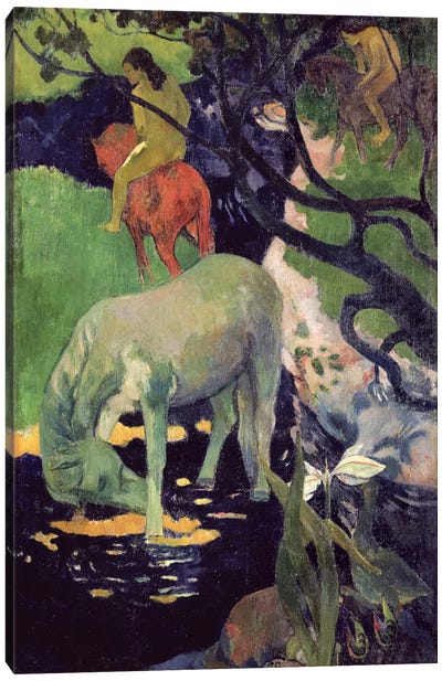 The White Horse, 1898  Canvas Art Print - Paul Gauguin
