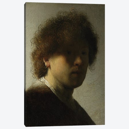 Self Portrait as a Young Man, c.1628  Canvas Print #BMN10986} by Rembrandt van Rijn Art Print