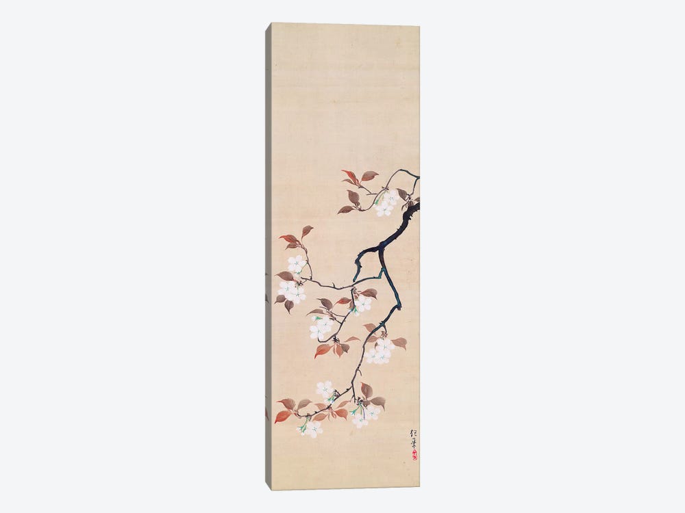Hanging Scroll Depicting Cherry Blossoms by Sakai Hoitsu 1-piece Canvas Art Print