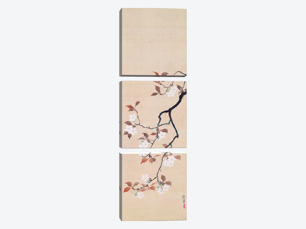 Hanging Scroll Depicting Cherry Blossoms by Sakai Hoitsu 3-piece Art Print