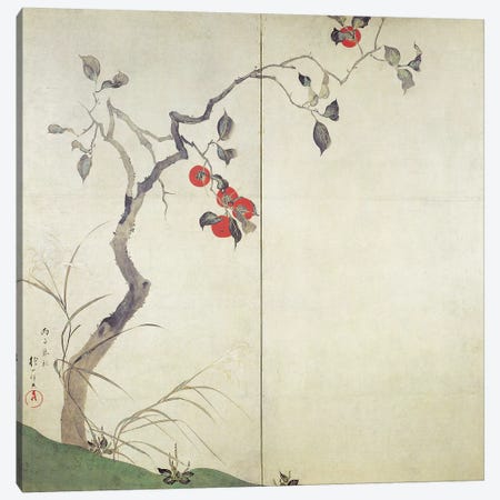 Persimmon on Tree  Canvas Print #BMN11000} by Sakai Hoitsu Canvas Artwork