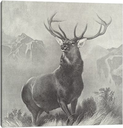 The Monarch of the Glen  Canvas Art Print