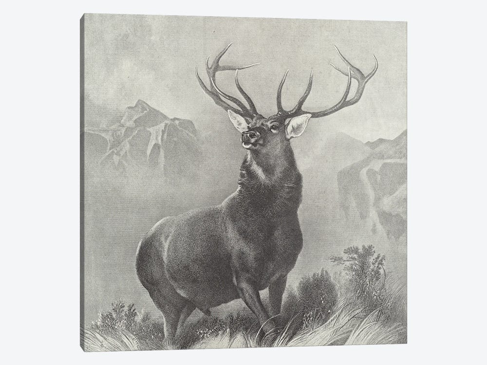 The Monarch of the Glen  by Sir Edwin Landseer 1-piece Canvas Print