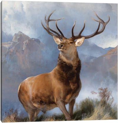 The Monarch of the Glen, c.1851  Canvas Art Print - Deer Art