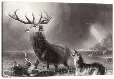 The Stag at Bay  Canvas Art Print - Deer Art