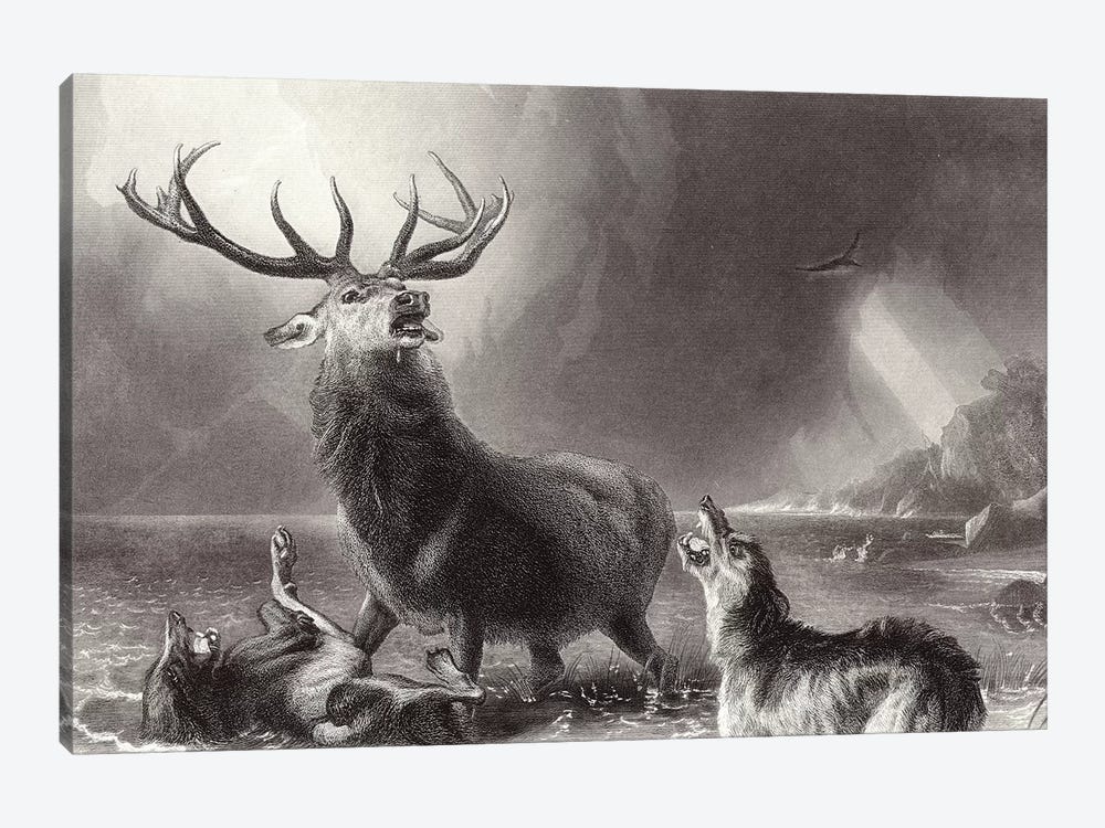 The Stag at Bay  by Sir Edwin Landseer 1-piece Canvas Wall Art