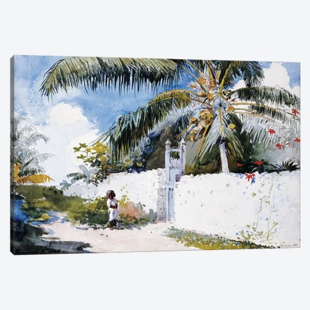 A Garden in Nassau, 1885  Canvas Print #BMN11031} by Winslow Homer Canvas Print