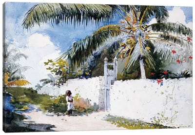 A Garden in Nassau, 1885  Canvas Art Print - Caribbean Art