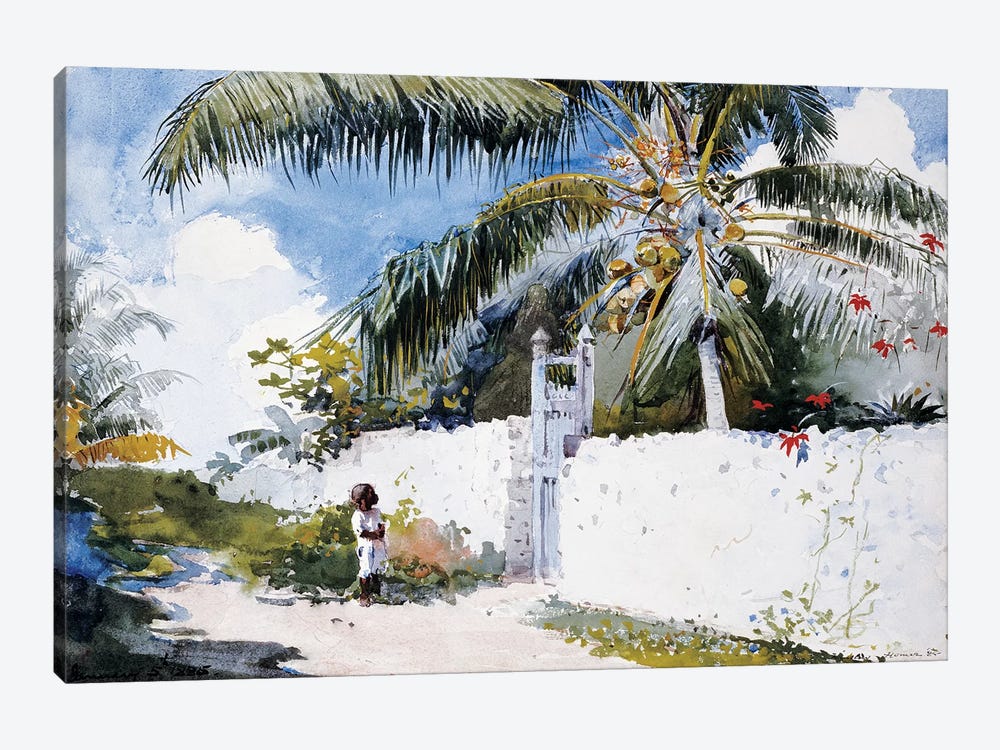 A Garden in Nassau, 1885  by Winslow Homer 1-piece Canvas Art