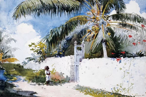 Caribbean: A Garden in Nassau, 1885  by Winslow Homer
