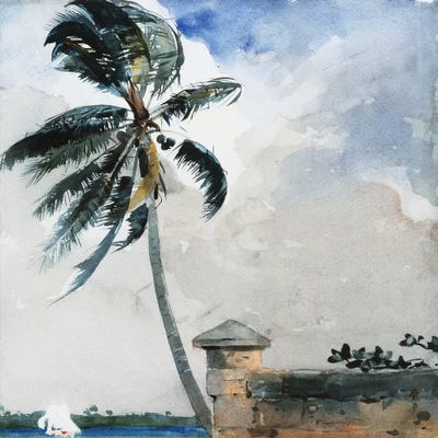 A Tropical Breeze, Nassau, 1889-90  by Winslow Homer art print