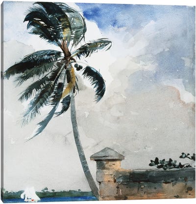 A Tropical Breeze, Nassau, 1889-90  Canvas Art Print - Caribbean Art