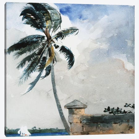 A Tropical Breeze, Nassau, 1889-90  Canvas Print #BMN11033} by Winslow Homer Canvas Print
