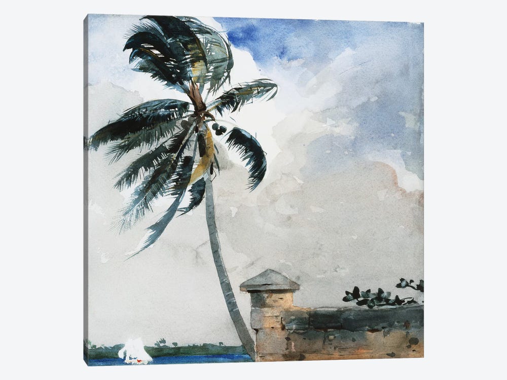 A Tropical Breeze, Nassau, 1889-90  by Winslow Homer 1-piece Canvas Artwork