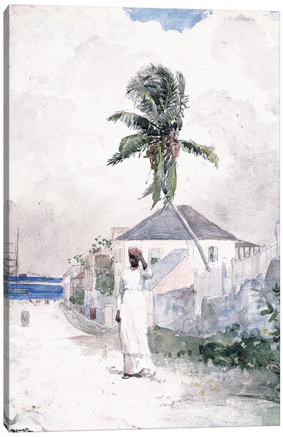 Along the Road, the Bahamas, 1885  Canvas Art Print - Caribbean Art