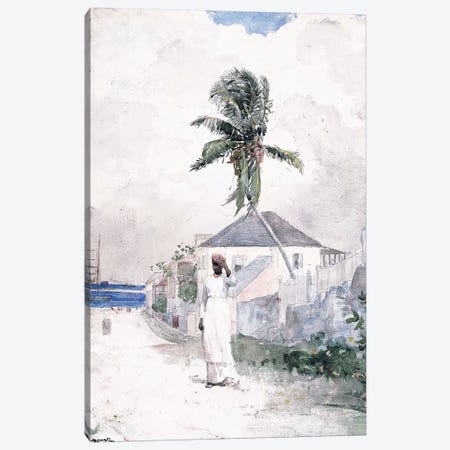 Along the Road, the Bahamas, 1885  Canvas Print #BMN11034} by Winslow Homer Canvas Art