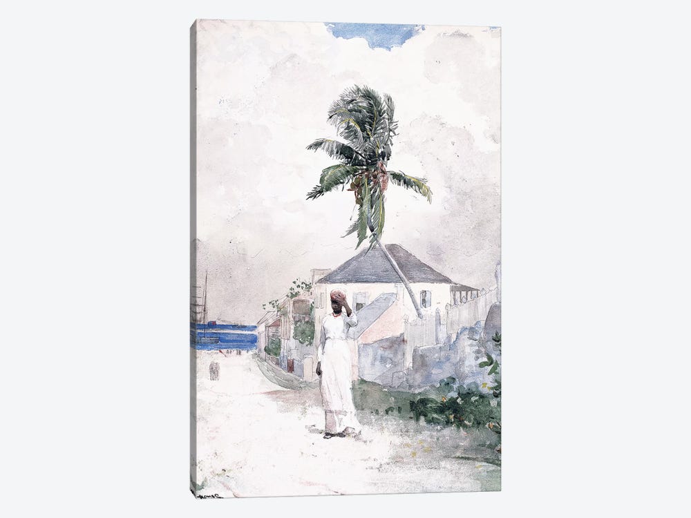 Along the Road, the Bahamas, 1885  by Winslow Homer 1-piece Canvas Art Print