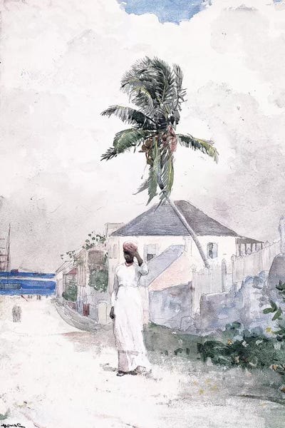 Bahamas: Along the Road, the Bahamas, 1885  by Winslow Homer