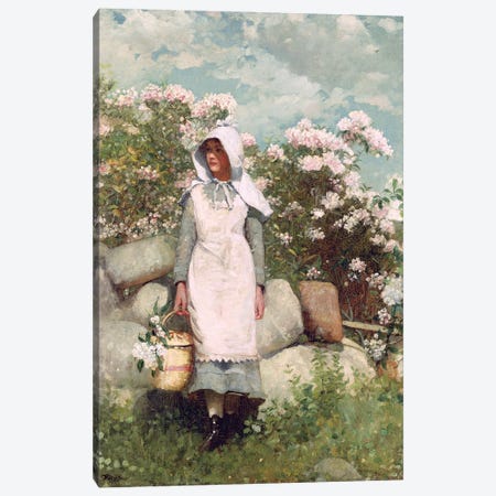 Girl and Laurel, 1879  Canvas Print #BMN11044} by Winslow Homer Canvas Print