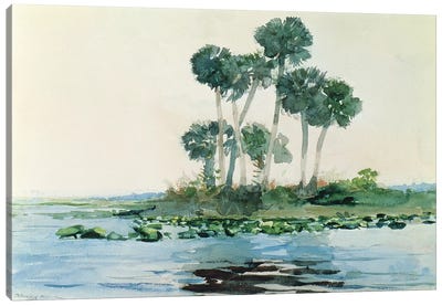 St. John's River, Florida, 1890  Canvas Art Print - River, Creek & Stream Art