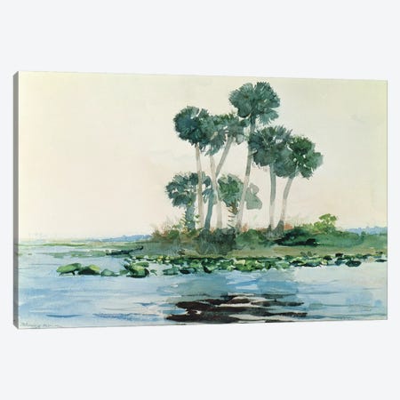 St. John's River, Florida, 1890  Canvas Print #BMN11059} by Winslow Homer Canvas Art Print