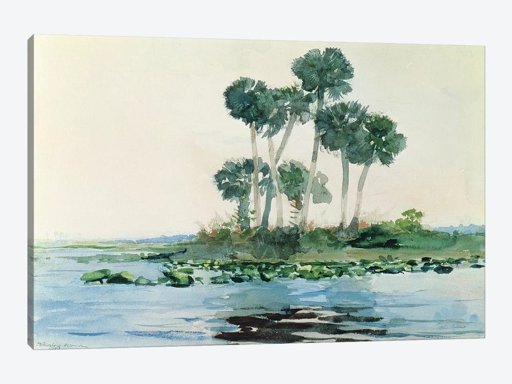 St. John's River, Florida, 1890  by Winslow Homer 1-piece Canvas Artwork