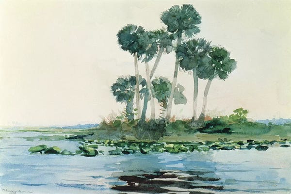 Winslow Homer: St. John's River, Florida, 1890  by Winslow Homer