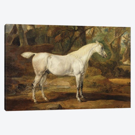 A Grey Arabian Stallion, The Property Of Sir Watkin Williams-Wynn, C.1815-20 Canvas Print #BMN11098} by James Ward Art Print