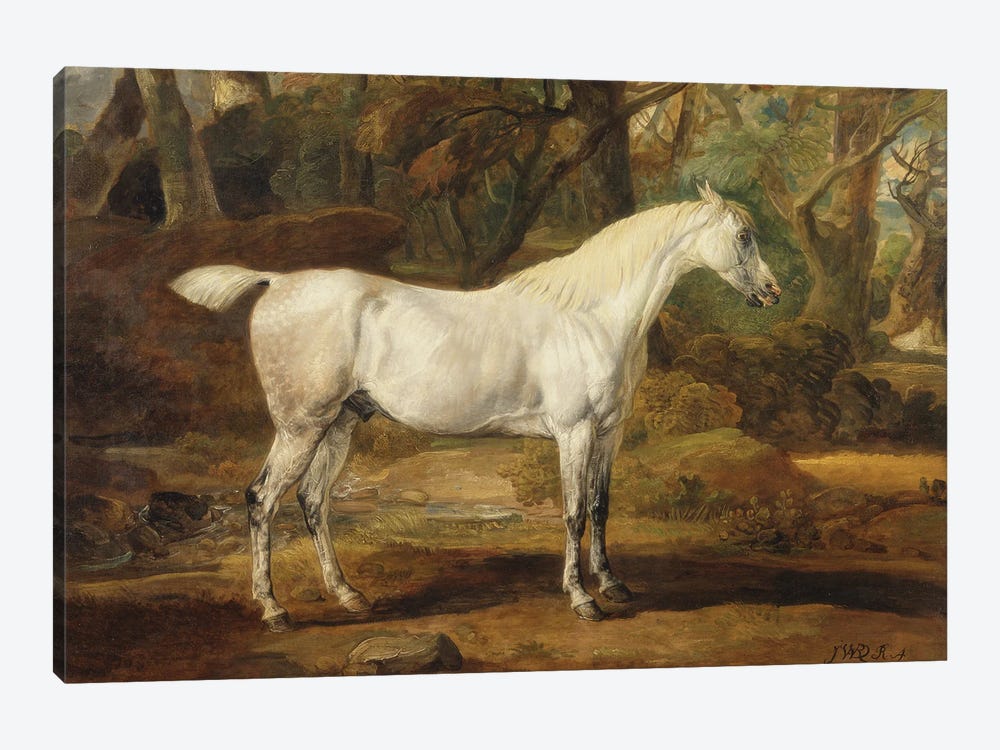 A Grey Arabian Stallion, The Property Of Sir Watkin Williams-Wynn, C.1815-20 by James Ward 1-piece Canvas Art Print