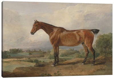 A Hunter In A Landscape, 1810 Canvas Art Print