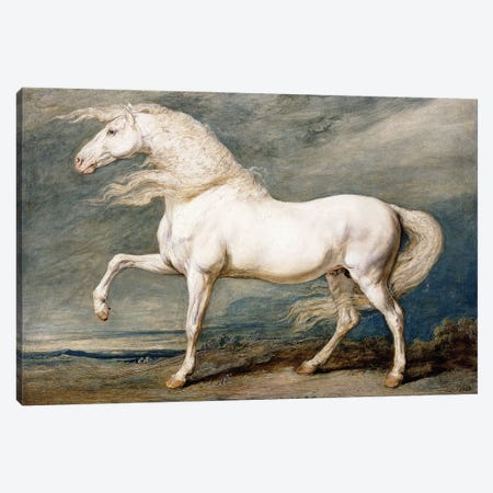 Adonis, King George III's Favourite Charger, Canvas Print #BMN11105} by James Ward Canvas Artwork