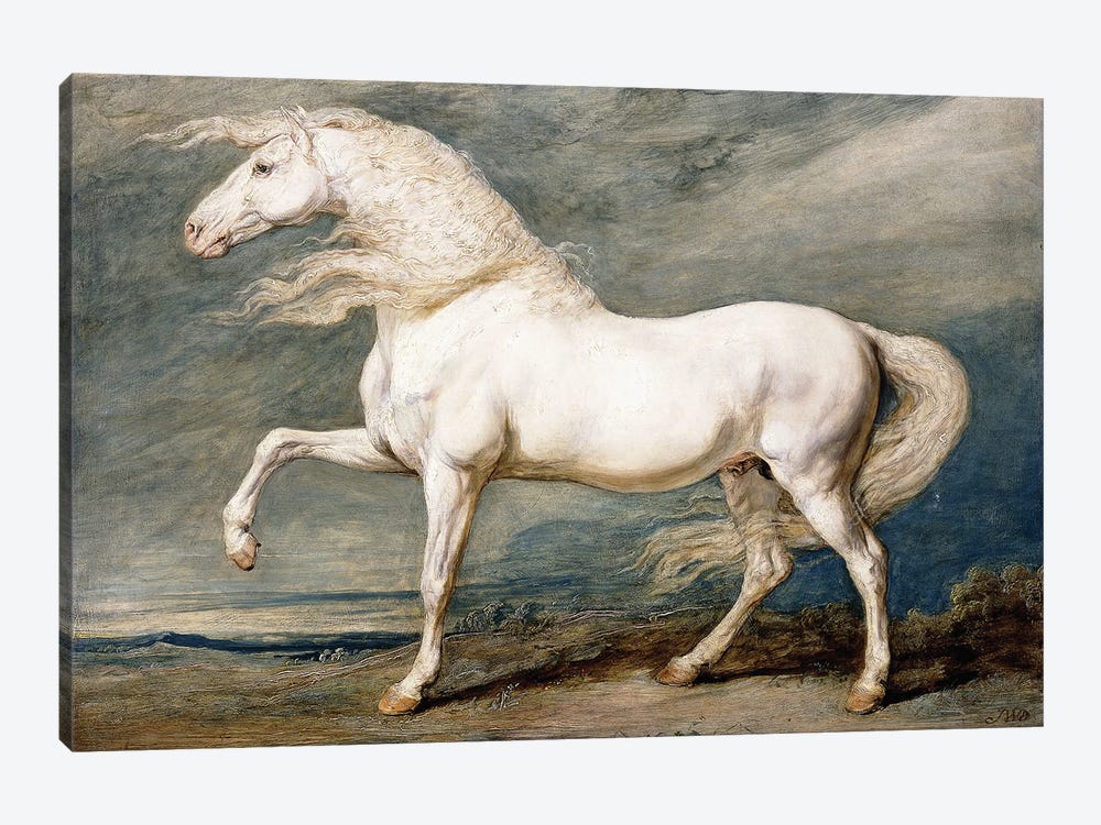 Adonis, King George III's Favourite Charger, by James Ward 1-piece Canvas Artwork