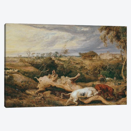 Bulls Fighting; St. Donat's Castle In The Distance, C.1803 Canvas Print #BMN11112} by James Ward Canvas Wall Art