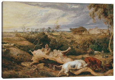Bulls Fighting; St. Donat's Castle In The Distance, C.1803 Canvas Art Print