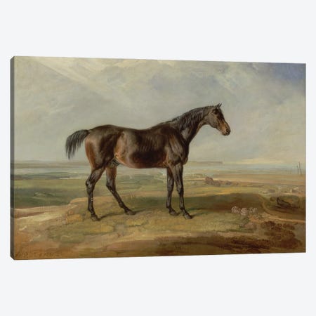 Dr. Syntax, A Bay Racehorse, Standing In A Coastal Landscape, An Estuary Beyond Canvas Print #BMN11117} by James Ward Canvas Print