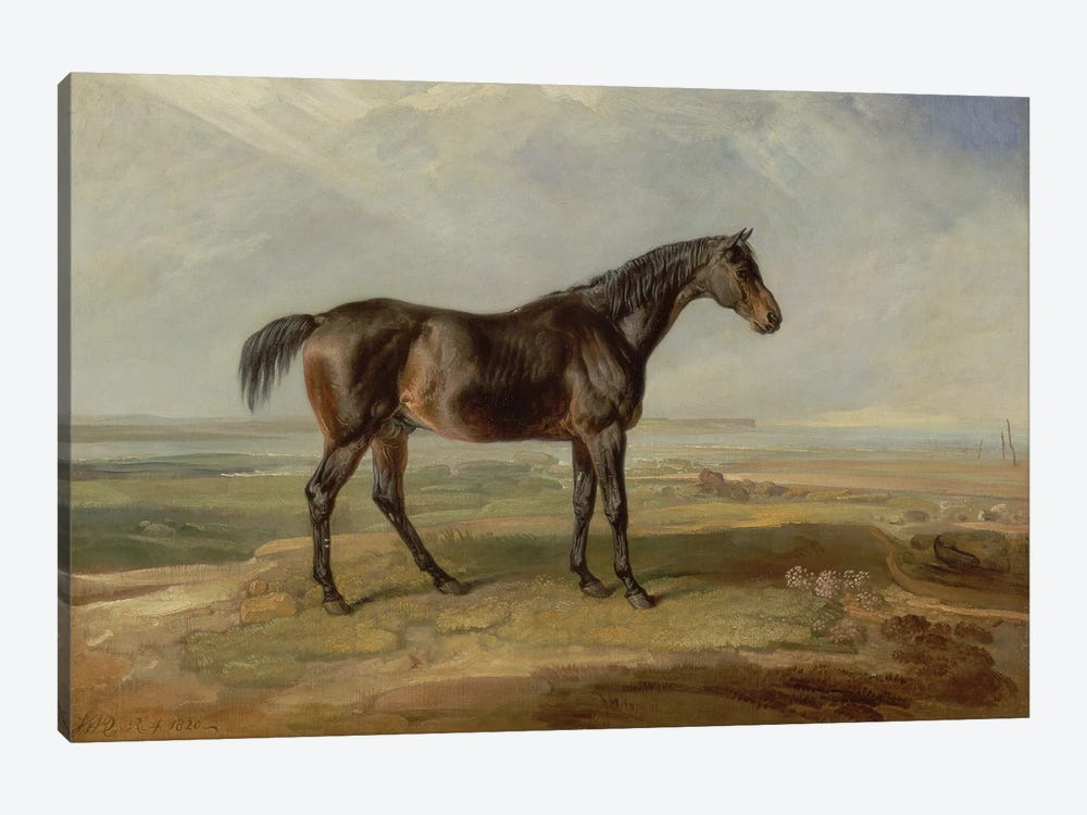 Dr. Syntax, A Bay Racehorse, Standing In A Coastal Landscape, An Estuary Beyond by James Ward 1-piece Canvas Art Print
