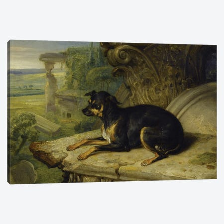 Fanny', A Favourite Dog, 1822 Canvas Print #BMN11122} by James Ward Canvas Print