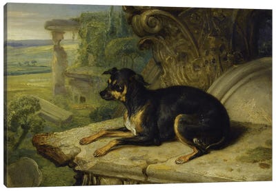 Fanny', A Favourite Dog, 1822 Canvas Art Print