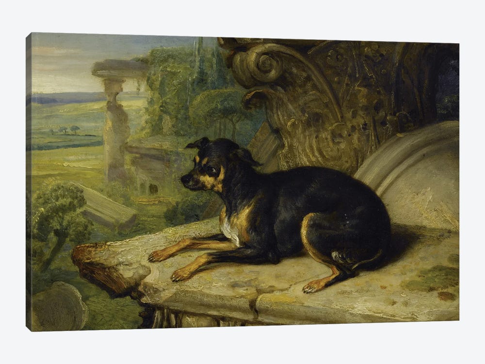Fanny', A Favourite Dog, 1822 1-piece Canvas Print
