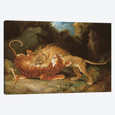 Fight Between A Lion And A Tiger, 1797 Canvas Print #BMN11123} by James Ward Canvas Print