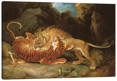 Fight Between A Lion And A Tiger, 1797 Canvas Art Print - James Ward