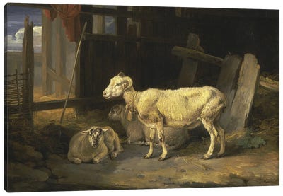 Heath Ewe And Lambs, 1810 Canvas Art Print - James Ward